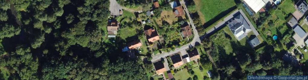 Zdjęcie satelitarne Pionierów ul.
