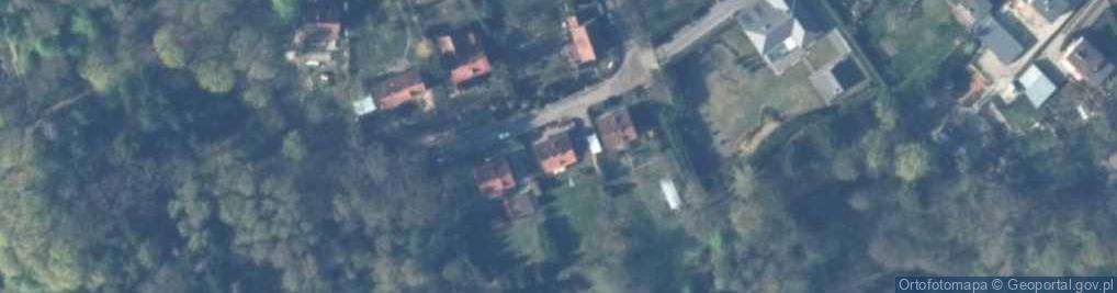 Zdjęcie satelitarne Pionierów ul.