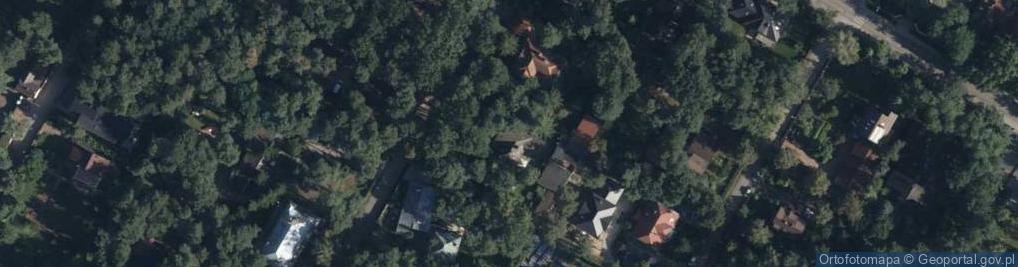 Zdjęcie satelitarne Pionierów ul.