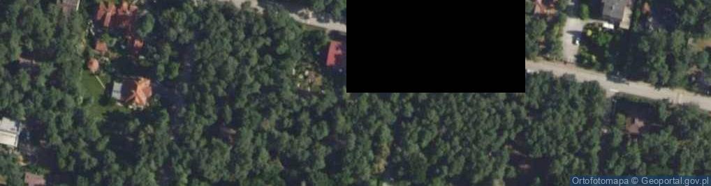 Zdjęcie satelitarne Pionierów ul.