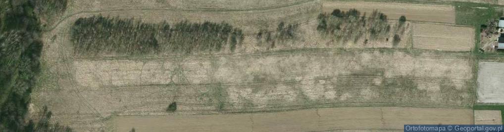 Zdjęcie satelitarne Pileckiego Witolda, rtm. ul.