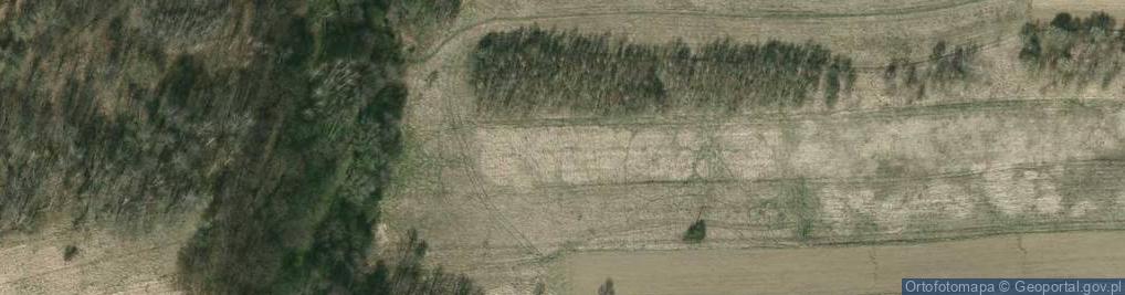 Zdjęcie satelitarne Pileckiego Witolda, rtm. ul.