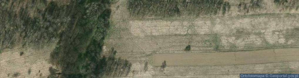 Zdjęcie satelitarne Pileckiego Witolda, rtm. ul.