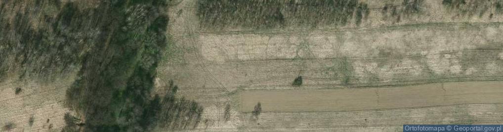 Zdjęcie satelitarne Pileckiego Witolda, rtm. ul.