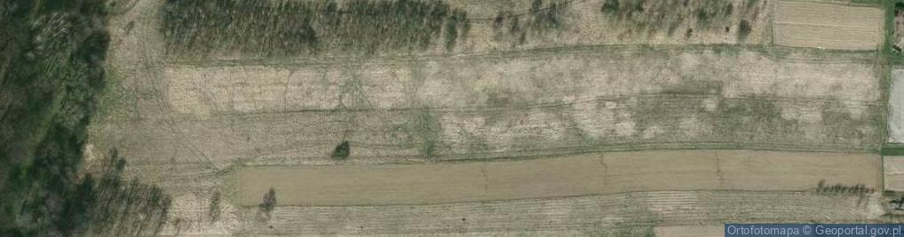 Zdjęcie satelitarne Pileckiego Witolda, rtm. ul.