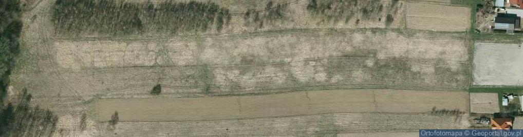 Zdjęcie satelitarne Pileckiego Witolda, rtm. ul.