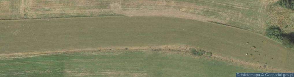 Zdjęcie satelitarne Pielgrzymka ul.