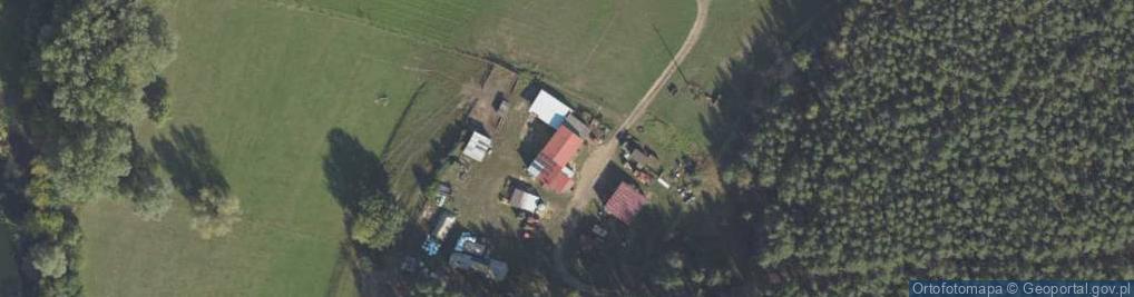 Zdjęcie satelitarne Pień ul.