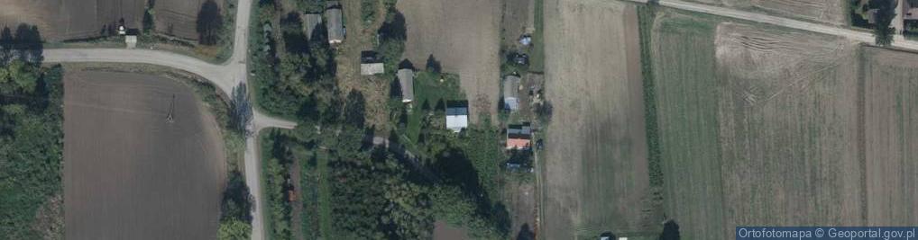 Zdjęcie satelitarne Pieniany ul.