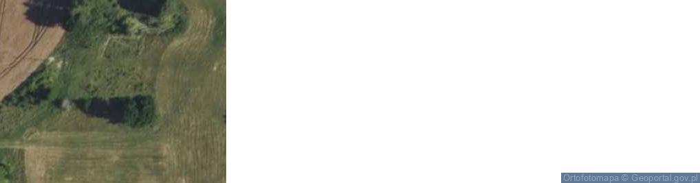 Zdjęcie satelitarne Pieszkowo ul.