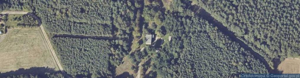 Zdjęcie satelitarne Piętno ul.
