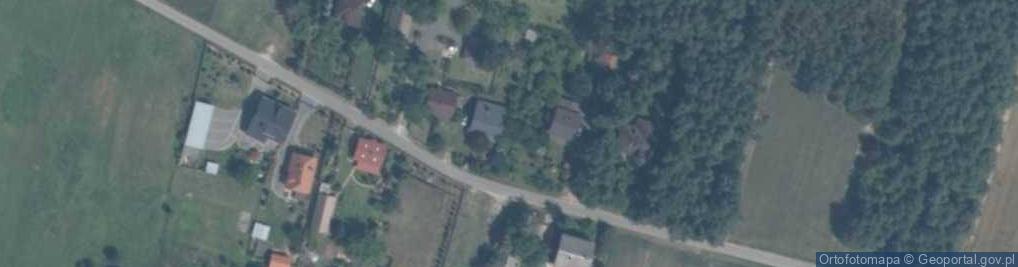 Zdjęcie satelitarne Pietrusin ul.