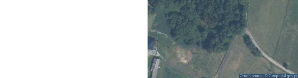 Zdjęcie satelitarne Pietrusin ul.