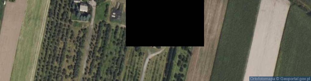 Zdjęcie satelitarne Pietrzyków ul.