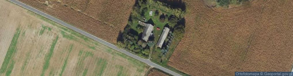 Zdjęcie satelitarne Pilewice ul.
