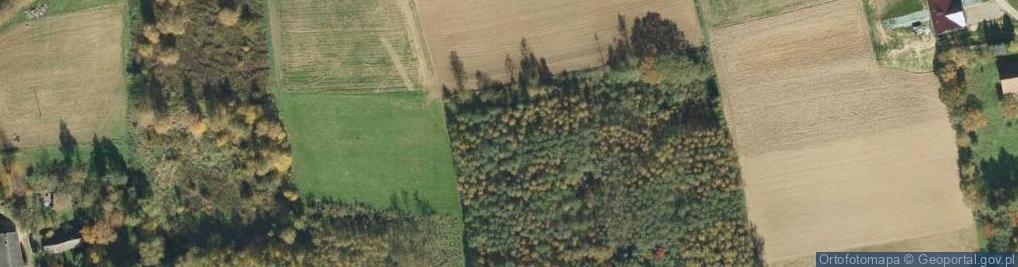 Zdjęcie satelitarne Piotrkowice ul.