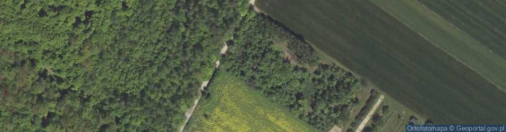 Zdjęcie satelitarne Piotrowice ul.