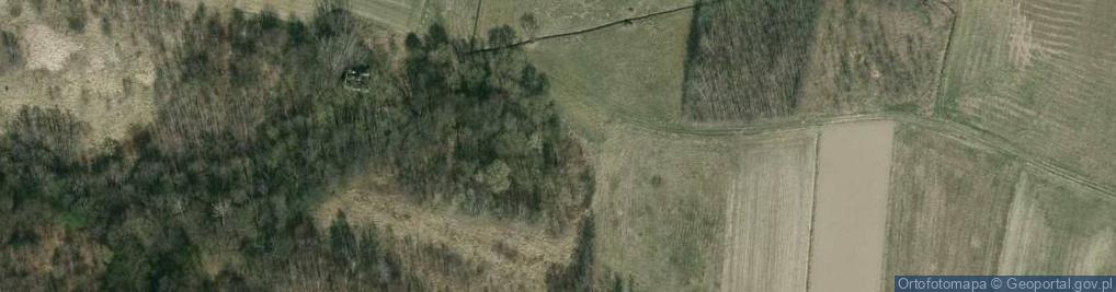 Zdjęcie satelitarne Piotrówka ul.