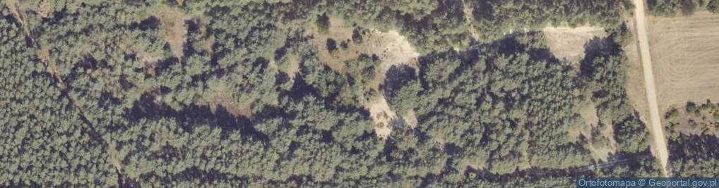 Zdjęcie satelitarne Piskory ul.