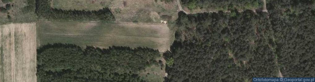 Zdjęcie satelitarne Pileckiego Witolda, rtm. ul.