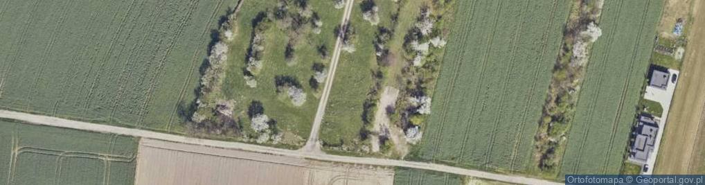 Zdjęcie satelitarne Pionierów ul.