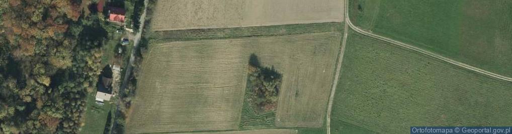 Zdjęcie satelitarne Piastowska ul.