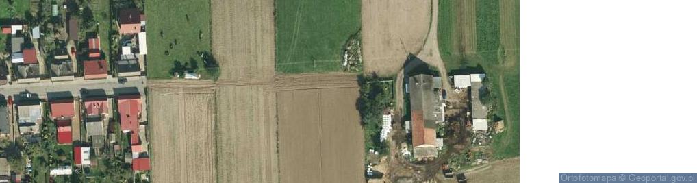 Zdjęcie satelitarne Piątka Leona ul.