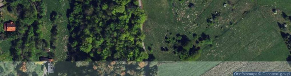 Zdjęcie satelitarne Pielgrzymów ul.