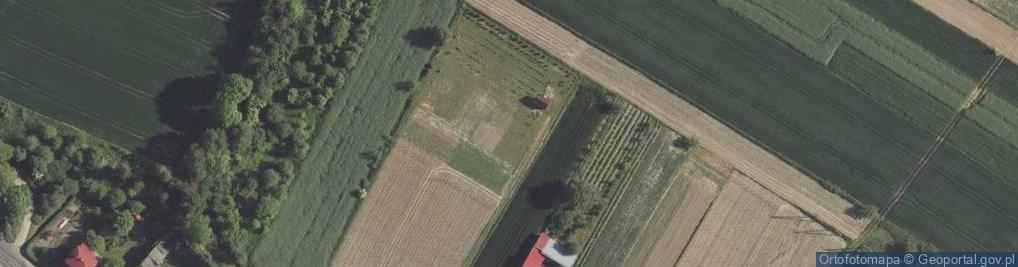 Zdjęcie satelitarne Piwna ul.