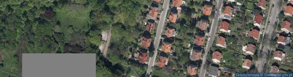 Zdjęcie satelitarne Pionierska ul.