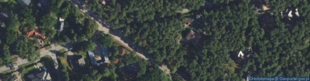 Zdjęcie satelitarne Pionierów ul.