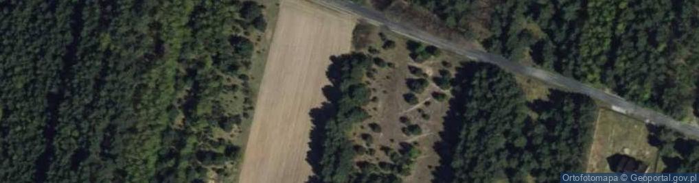 Zdjęcie satelitarne Płaczkowska ul.