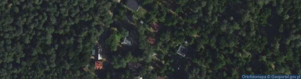 Zdjęcie satelitarne Plac Dzika pl.