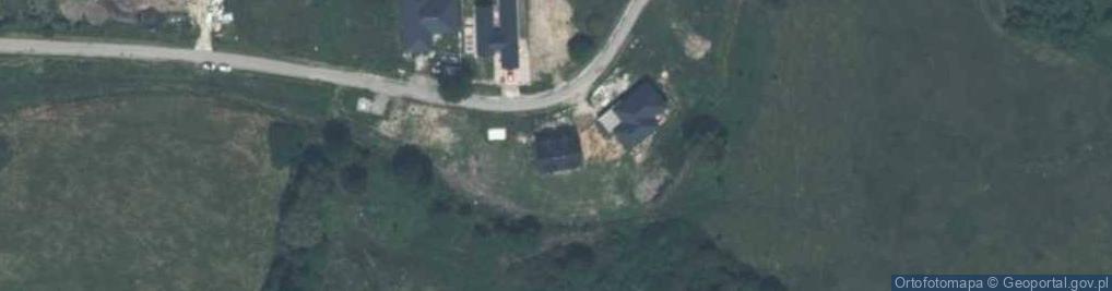 Zdjęcie satelitarne Ples ul.