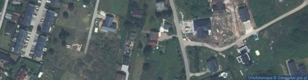 Zdjęcie satelitarne Ples ul.