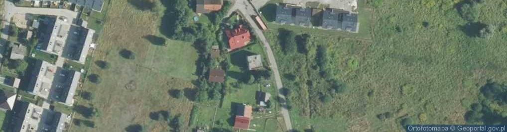 Zdjęcie satelitarne Ples ul.