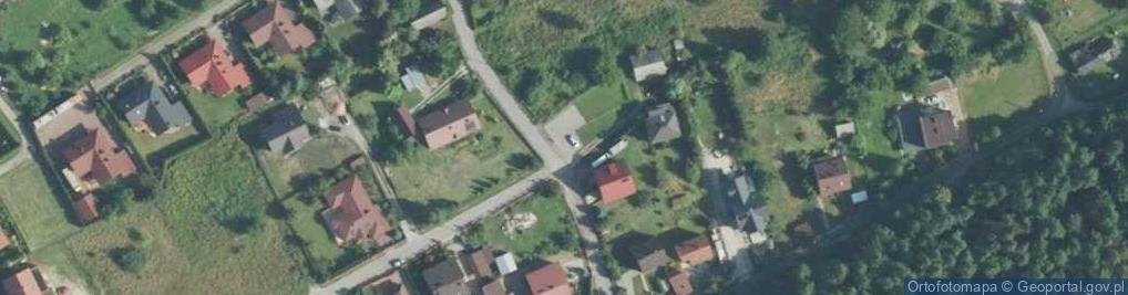 Zdjęcie satelitarne Ples ul.