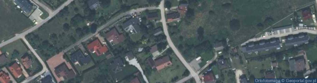 Zdjęcie satelitarne Ples ul.