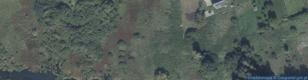 Zdjęcie satelitarne Płaska ul.