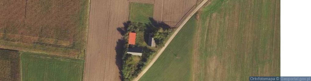 Zdjęcie satelitarne Płocicz ul.
