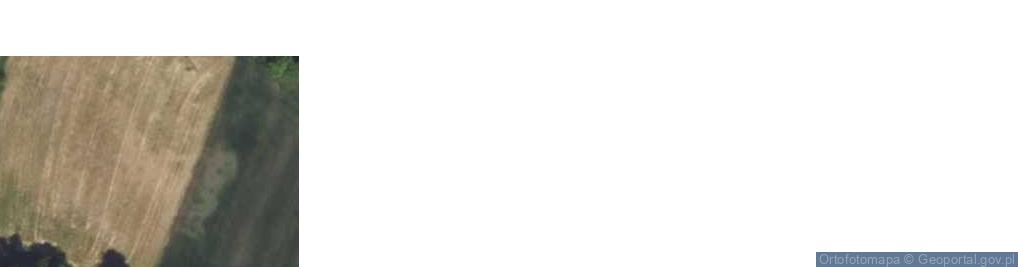 Zdjęcie satelitarne Płonka-Strumianka ul.