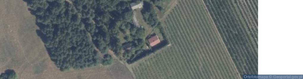 Zdjęcie satelitarne Płosków-Kolonia ul.