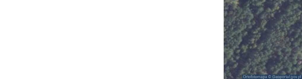 Zdjęcie satelitarne Płoszyce ul.