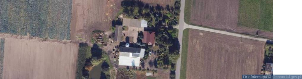 Zdjęcie satelitarne Płowce Pierwsze ul.