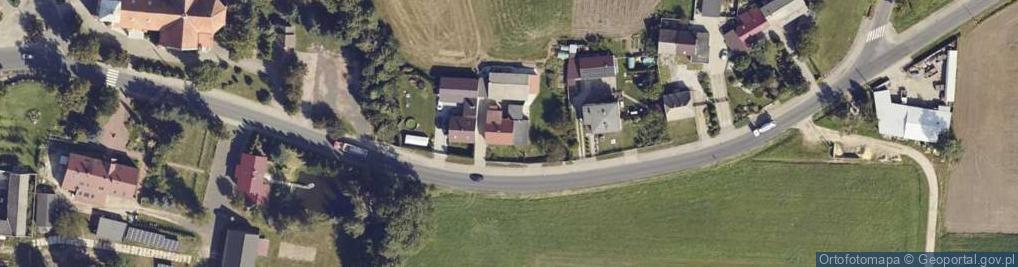 Zdjęcie satelitarne Pleszewska ul.