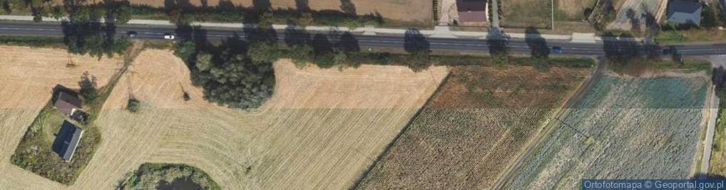 Zdjęcie satelitarne Płocka ul.