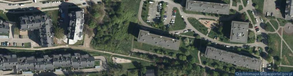 Zdjęcie satelitarne Pleszewska ul.