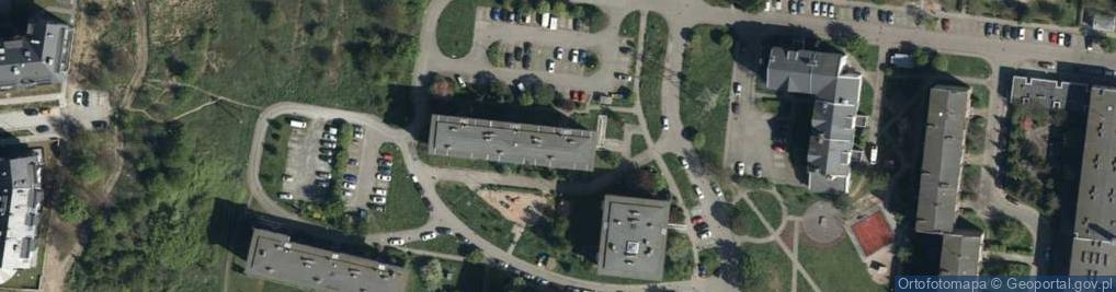 Zdjęcie satelitarne Pleszewska ul.