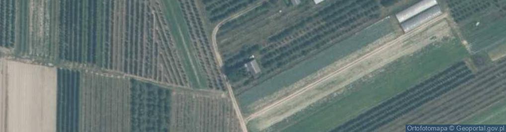 Zdjęcie satelitarne Pnie ul.