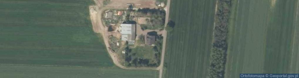 Zdjęcie satelitarne Pniewska Kolonia ul.